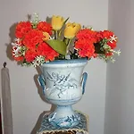 La Casa Dei Fiori Tatil Evi